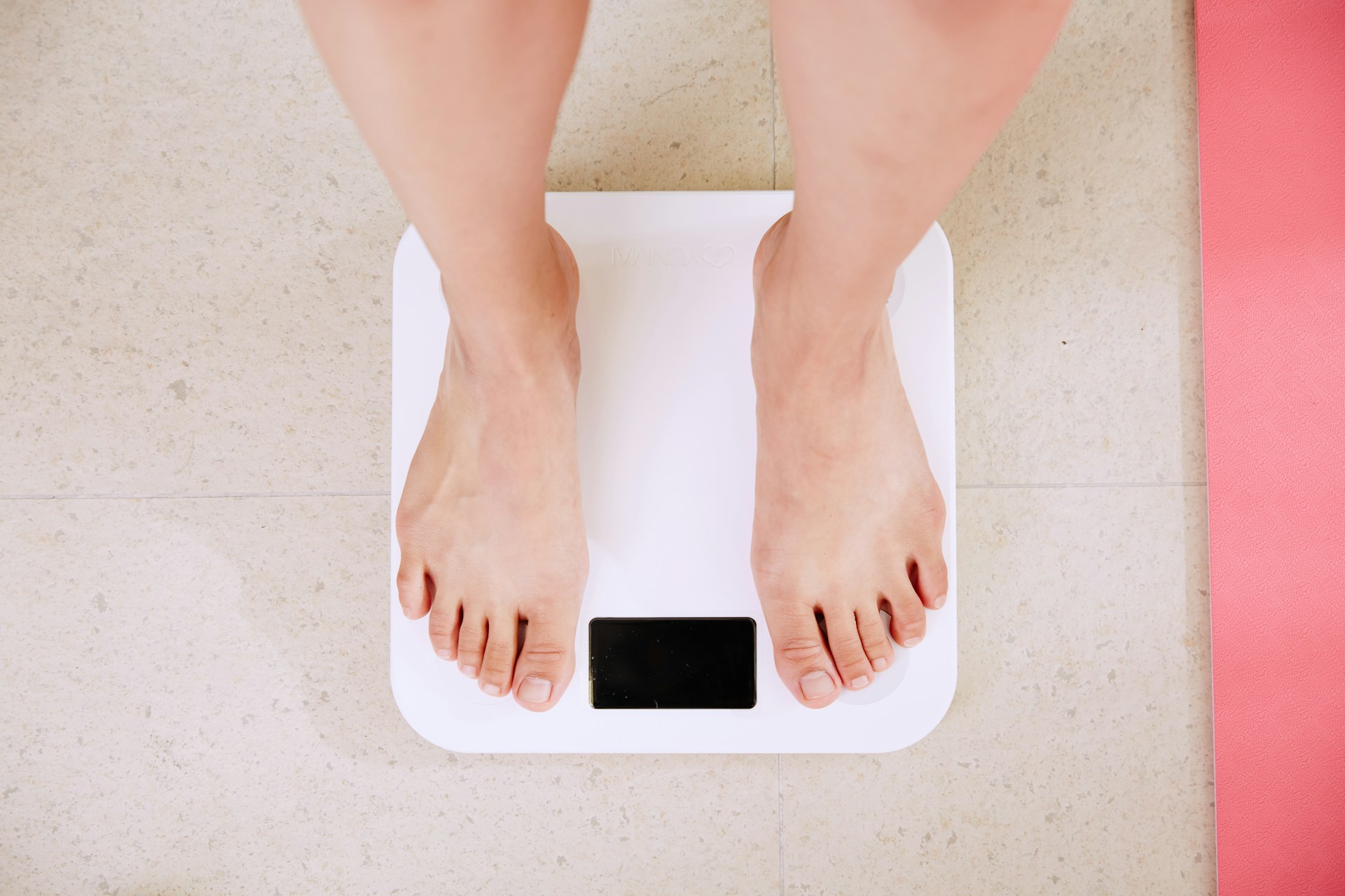 Akkermansia: The Breakthrough Gut Bacteria Linked to Weight Loss